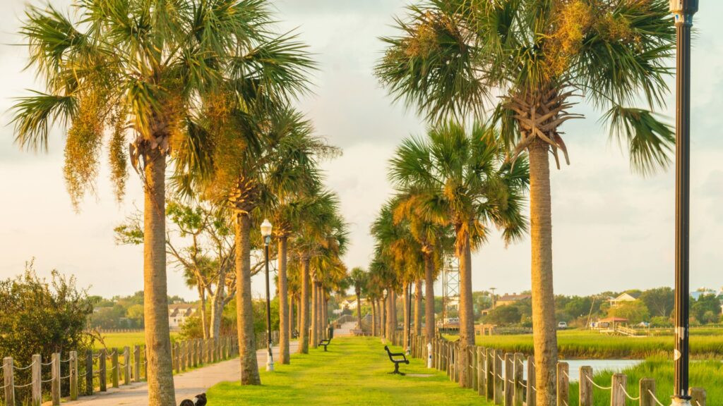 Mount Pleasant SC scenic view